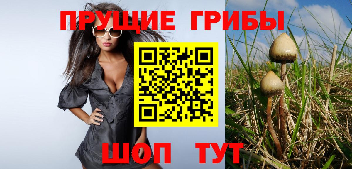Купить наркотик  Гудермес  Вейп ТГК  МДМА  Конопля  МЕФ   ГАШ  Вход с VPN  Alpha PVP СК   ГАШ  Экстази 