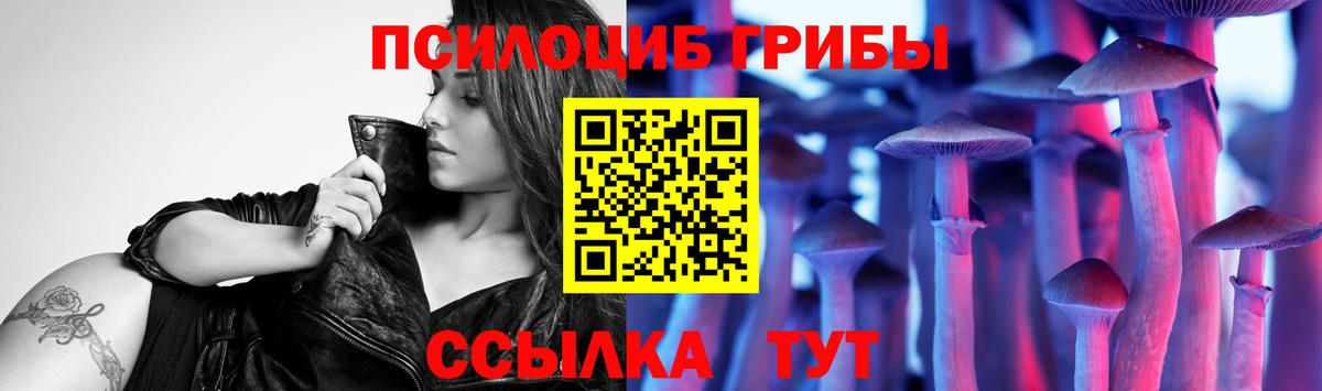 Галлюциногенные грибы GOLDEN TEACHER  Вход с VPN  Гудермес 